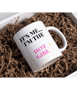 Nico Hulkenberg Mug, F1 Driver Fan, Haas, Hot Girls Support, Formula One, Novelty Mug, Gift for them, Quote Memes Formula One UK 